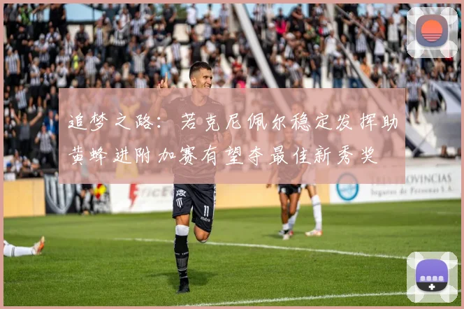 追梦之路：若克尼佩尔稳定发挥助黄蜂进附加赛有望夺最佳新秀奖