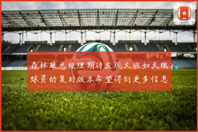 森林狼总经理期待发现文班如天赋球员的复刻版本希望得到更多信息